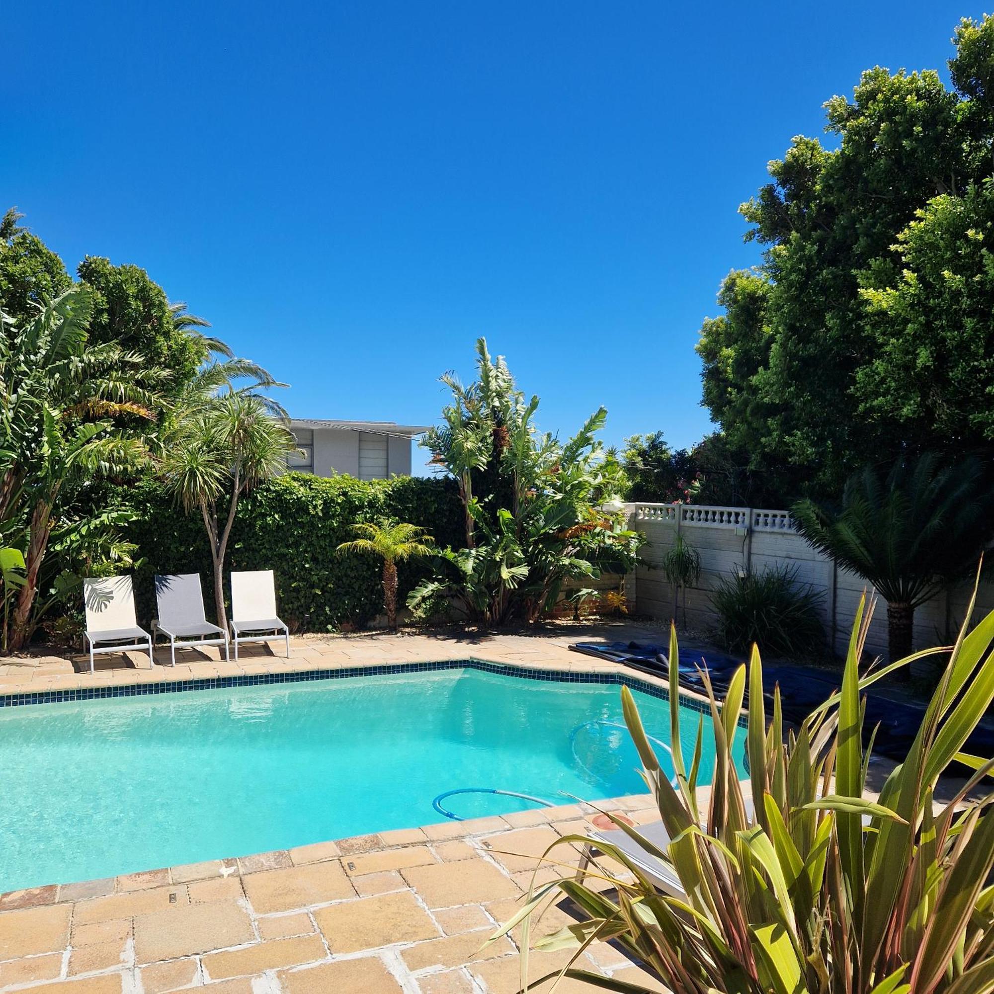 Lemon Tree * Cape Town