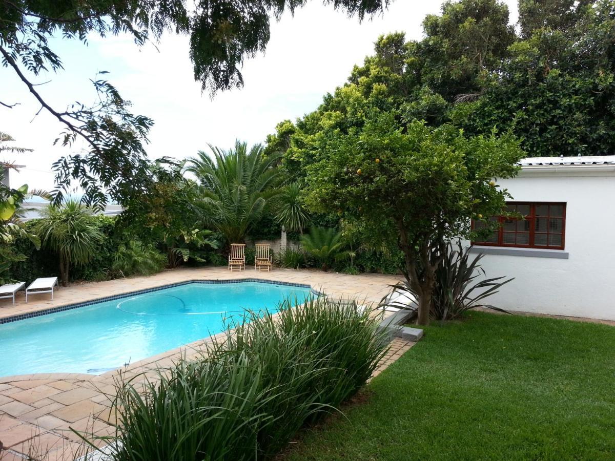 Lemon Tree * Kaapstad